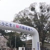 駐屯地でお花見