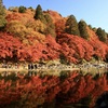 香嵐渓＆郡上八幡ツアー【温泉も楽しめる飛騨高山へ】