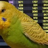 ５月２３日の相場を見てみたよ　チュン