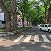 ふじ大山道を歩く その３ 柳沢・深大寺道分岐から府中へ出る