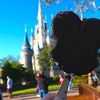 【Magic Kingdom】私のおすすめアイスクリーム