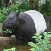 マレーバク Tapirus indicus