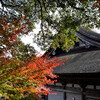 湖南三山常楽寺の秋その３