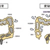 国民教育第4弾　便秘やおならを我慢するな