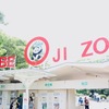 大阪からパンダに会える動物園なら神戸市立王子動物園！コアラもいるよ