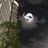 十五夜のお月様