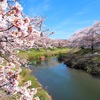 4月21日…太平川観桜会★その2