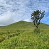 【九重山】次女も連れての山登り！ねぇ、そろそろ歩かない？