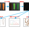 簡単な輪郭（形）の解析をしてみました