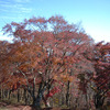 栃谷尾根コースで陣馬山紅葉ハイキング