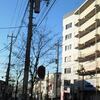 いろんな魅力があるからこそ『街』ってのもいいのではないですかね？