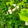 5月20日　水　天赦日
