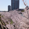 昨日木曜日の中崎道場（大阪市北区）の稽古は呼吸法とオンライン講習会の復習（両手取呼吸投）