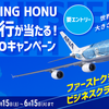 nanaco利用でANA FLYING HONU遊覧飛行が当たるキャンペーン！（5/15-6/15：要エントリー）