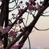 中庸とは…  2025/2のクラス