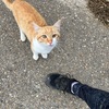 旅も人生もバッファが必要