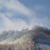 雪の花が咲いたよう。