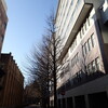 3月もどんどん過ぎて行く～10日（月）から14日（金）