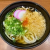 うどん そば 吉備（岡山 在来線2階改札内）かけうどん