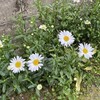生きておられるイエス（6/6）主を賛美する