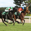 日曜競馬　展望