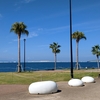 週の半ばにりんくう