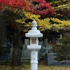 高野山奥之院の紅葉