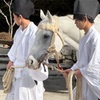 賀茂別雷神社の白奏覧神事馬