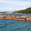 次女と和歌山県の海上釣り堀へ