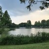 鯉と猫のいる夕暮れ〜夕方、妻と水上公園を散歩する（6月25日）。