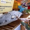  巨大マグロの体にさい銭「お金が身につく」　西宮神社（朝日新聞デジタル）