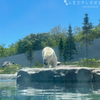 北国ならではの動物達に会いに行こう！札幌円山動物園