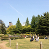 靭公園バラ園