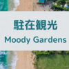 駐在観光　MoodyGardens