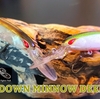 バスの本能に刺激する溺愛ルアー　その1【LAYDOWN MINNOW DEEPJUST WAKASAGI】