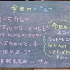 めぼしいオリーブをみんな収穫しました