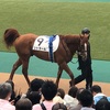 東京競馬5R メイクデビュー　◎9 シトラール　がんばれぇぇぇぇぇ！！