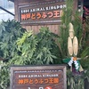 神戸　神戸どうぶつ王国