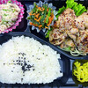 おれんじ村の日替り弁当