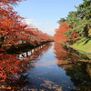 秋晴れの弘前城・菊と紅葉まつり☆錦秋に彩られ見頃！