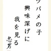 ツバメの子興味深げに我を見る