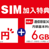 実店舗契約業界最安か？BIGSIM1年間割引キャンペーン