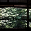 SNSでも話題！京都『瑠璃光院』でこの時期にしか見られない青もみじ鑑賞