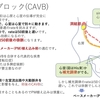 不整脈：房室ブロック(AVB)について　その１：CAVB（完全房室ブロック）　〜基本31〜