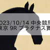 2023/10/14 中央競馬 東京 9R プラタナス賞
