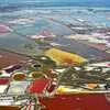 「中国の死海」運城塩湖にカラフルな景色が出現 山西省運城市