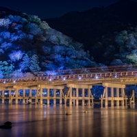 真っ暗な中で撮影した 渡月橋 がライトアップされたように明るく写った 長時間露光はおススメ Lifestyle Standard