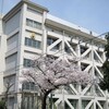 桜　墨田区立二葉小学校