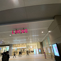大阪駅近くのお花屋さんはどこにある オススメお花屋さん3選 がんばりやさんのナマケモノ