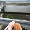 【初めての自転車旅】夏休みに三重県から神奈川県までママチャリで自転車旅をした話　4日目　天下の箱根ごえ